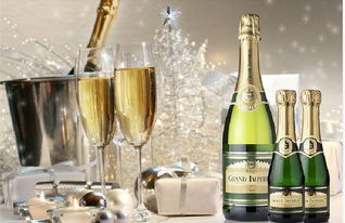 天津西班牙氣泡酒進(jìn)口報關(guān)代理